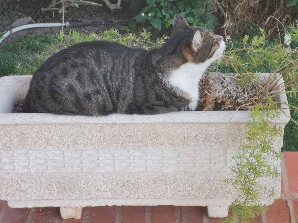 Sonstiges Golden Club Cabanas