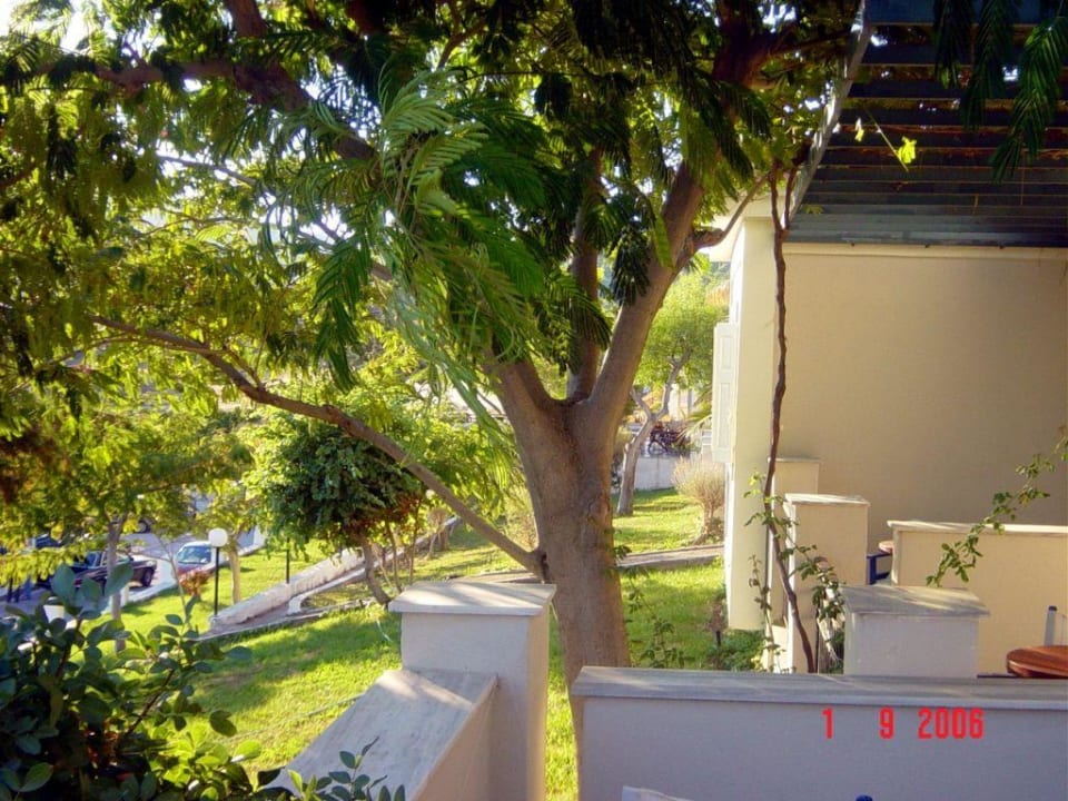 Garten vorm Balkon Hotel Clara