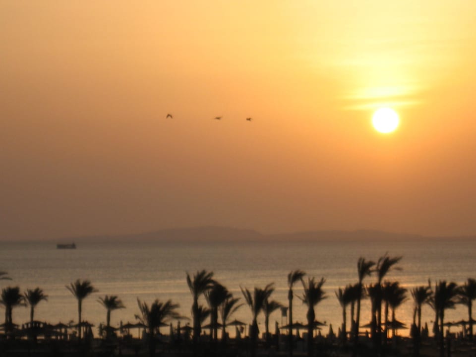 View at sunset Steigenberger ALDAU Beach Hotel