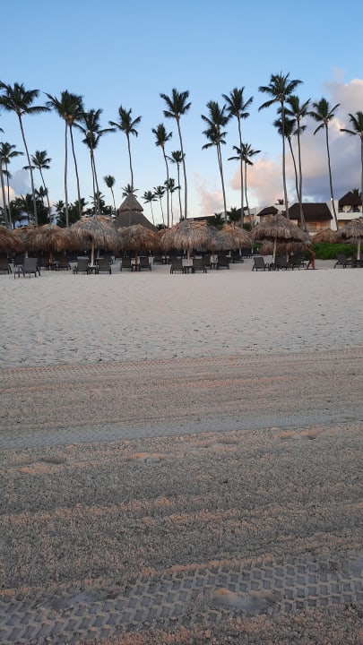 Strand Dreams Royal Beach Punta Cana