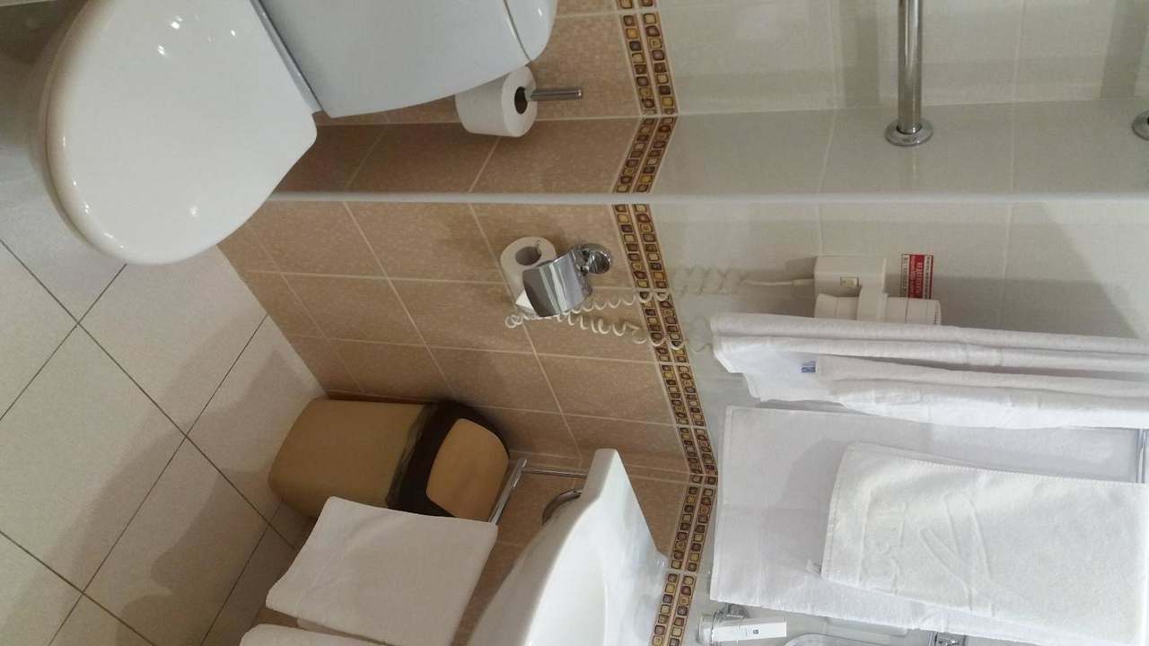 Zimmer Bad/WC Izmailovo Alfa Hotel