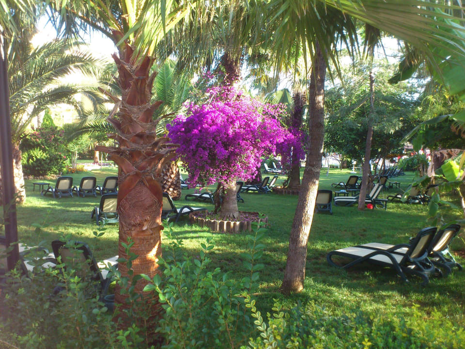 Gartenteil zum Relaxen Belek Beach Resort Hotel