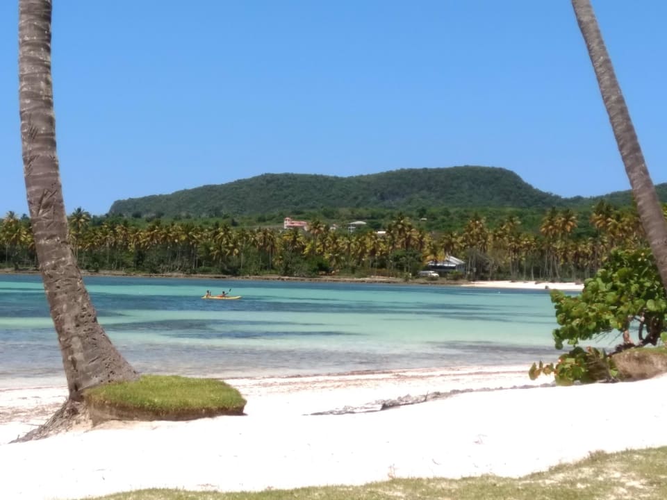 Strand Wyndham Alltra Samana