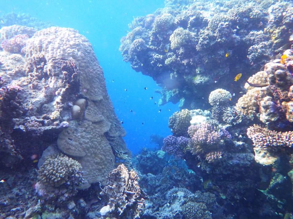 Strand Utopia Beach Club