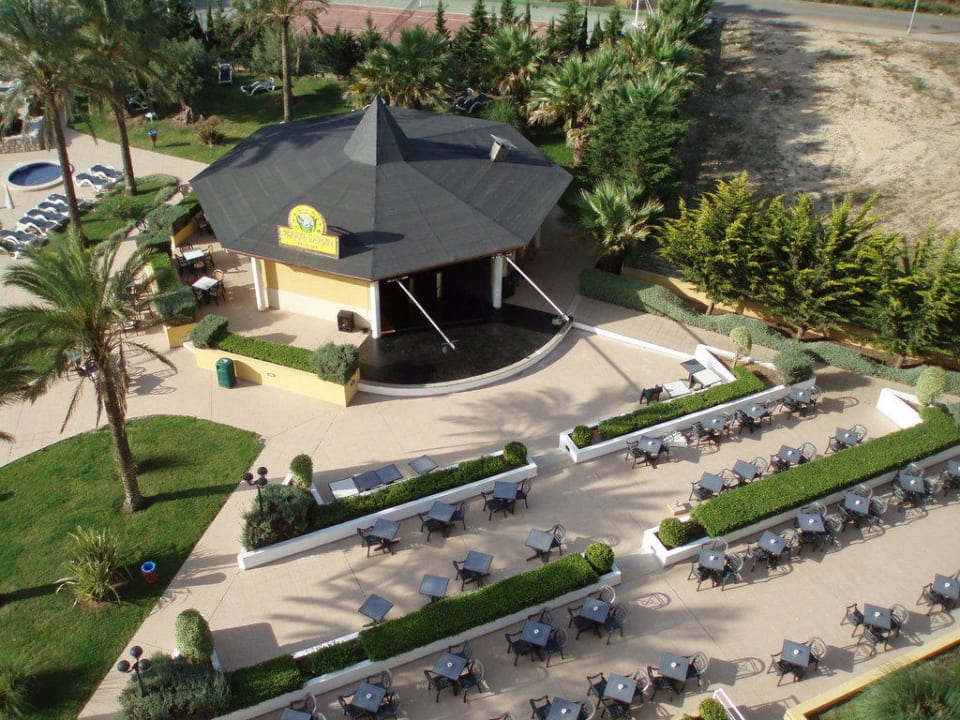 Bar piscina Hotel Cala Millor Garden - Adults only