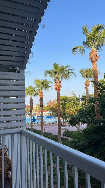 Ausblick Desert Rose