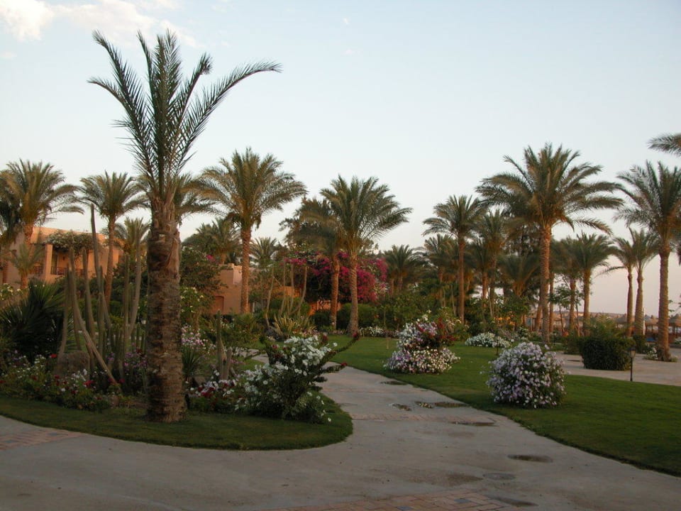 Einfach nur schön Iberotel Makadi Beach