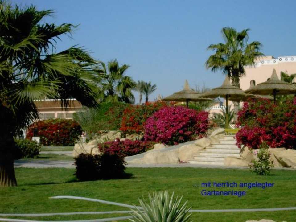 Gartenanlage Beach Albatros Resort