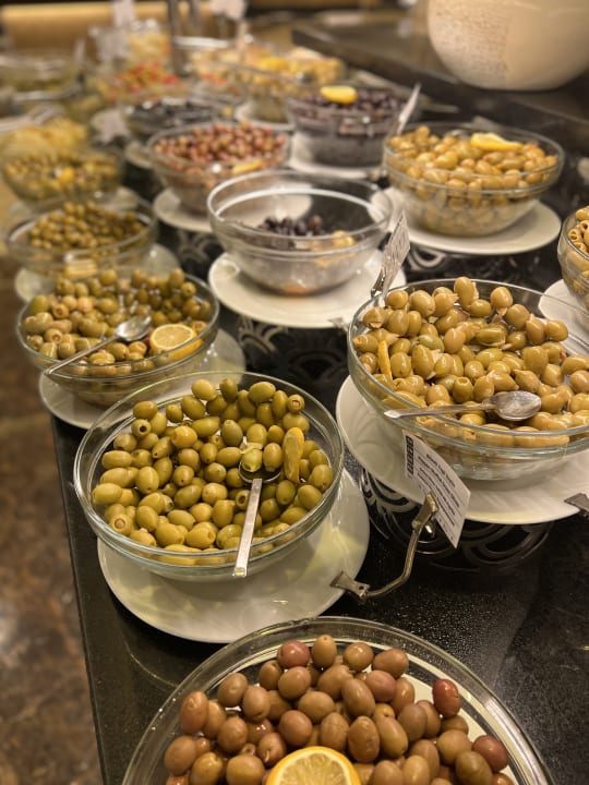 Gastro Papillon Ayscha