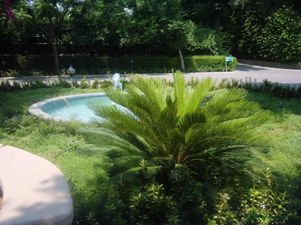 Springbrunnen & Palmen Can Garden Beach
