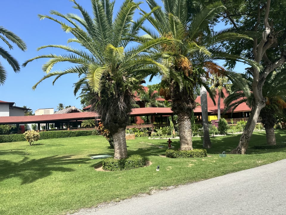 Gartenanlage Hotel Grand Palladium Palace Resort, Spa & Casino