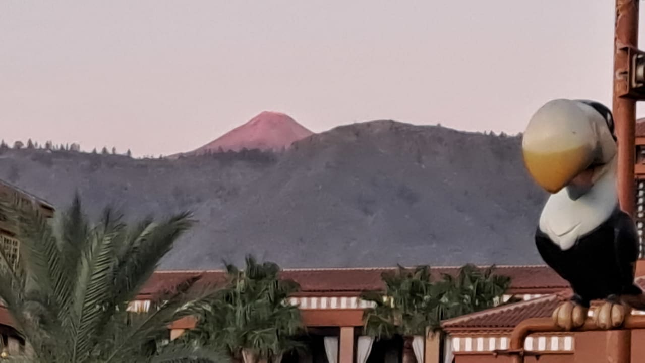 Ausblick HOVIMA Jardin Caleta