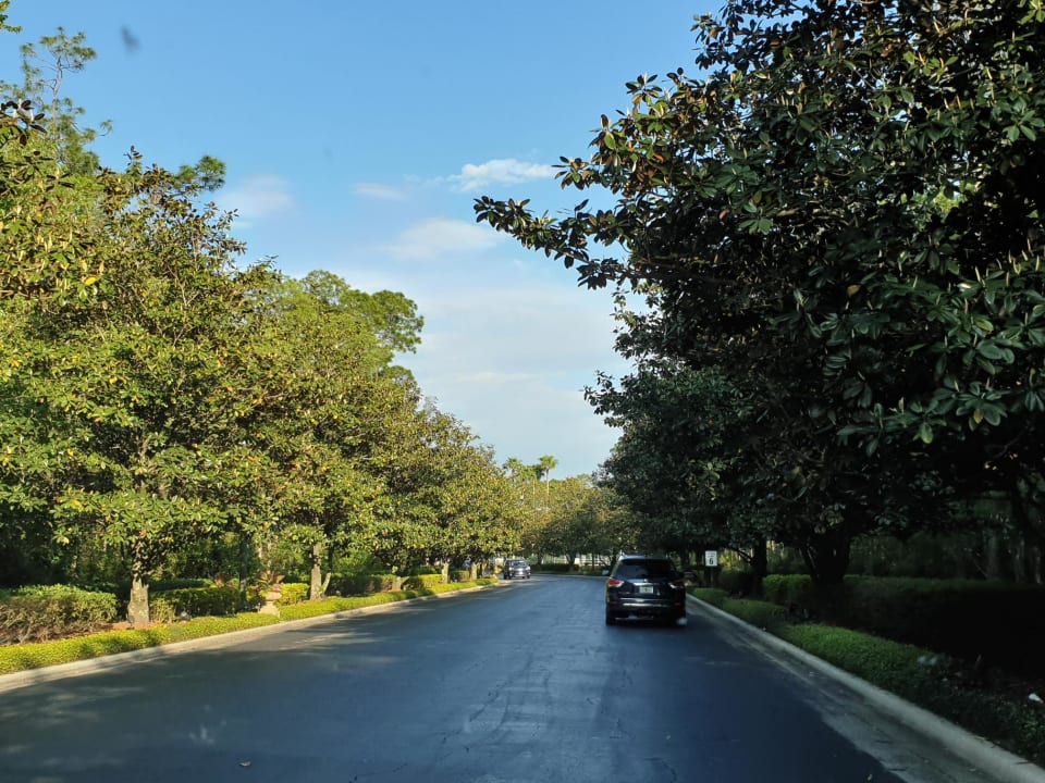 Sonstiges Hotel Marriott's Grande Vista