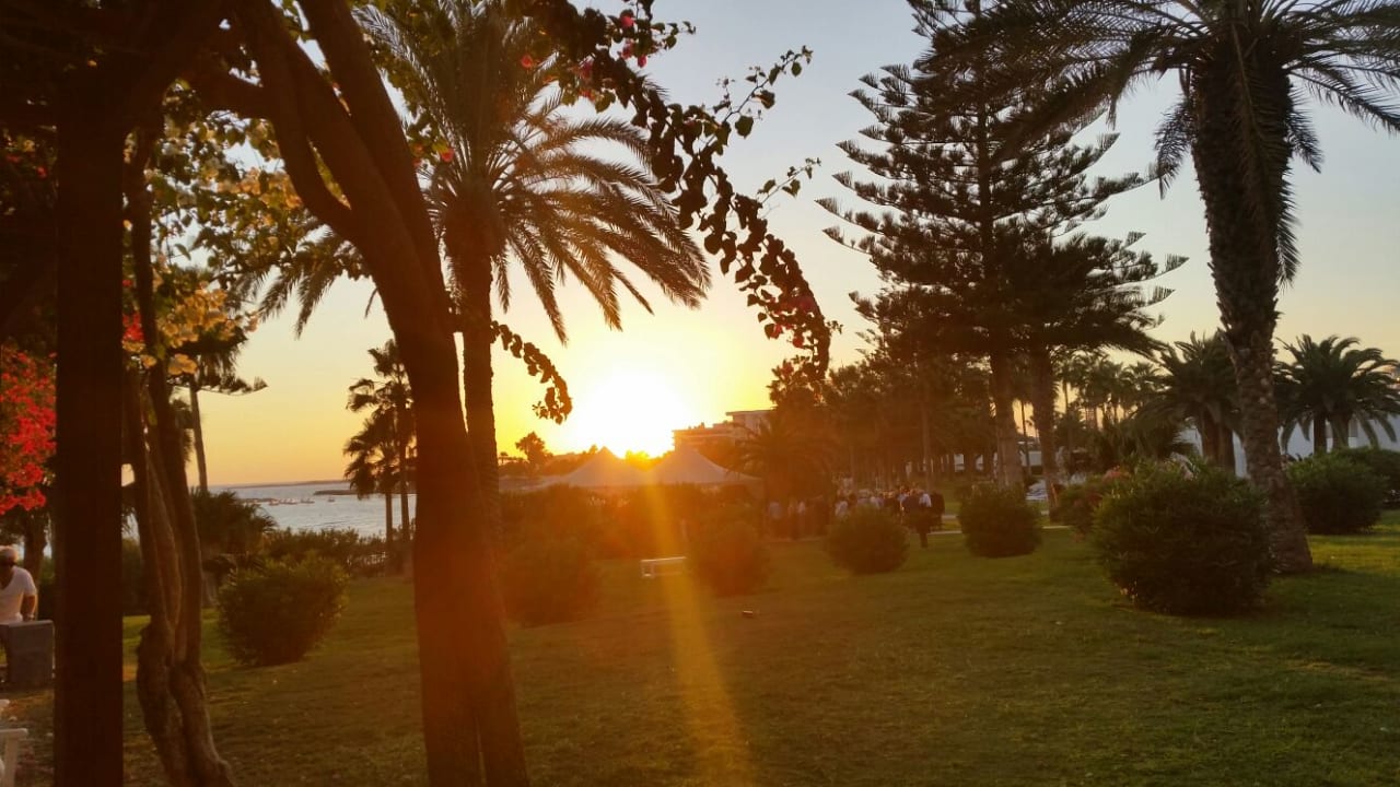 Ausblick Hotel Nissi Beach Resort