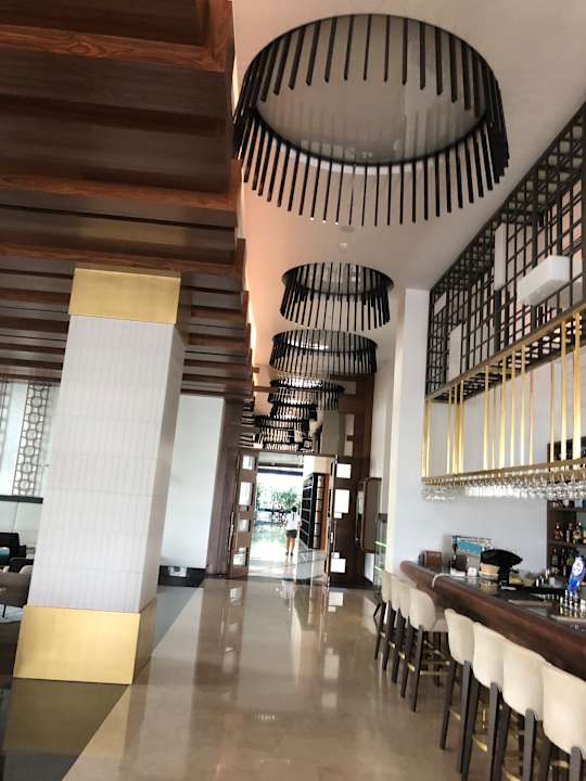 Gastro Acanthus Cennet Barut Collection