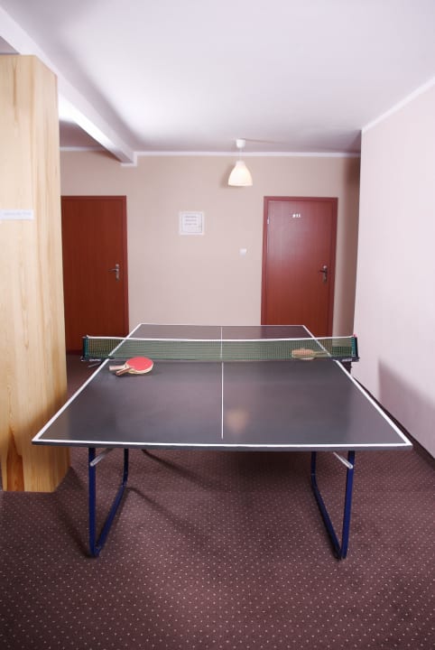 Tenis Stołowy Leśny Dwór