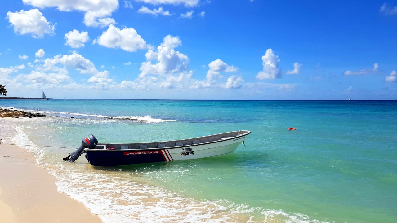 Strand Dreams Dominicus La Romana