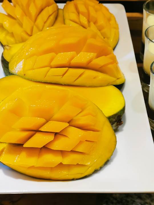 Gastro Club Paradisio El Gouna, Red Sea