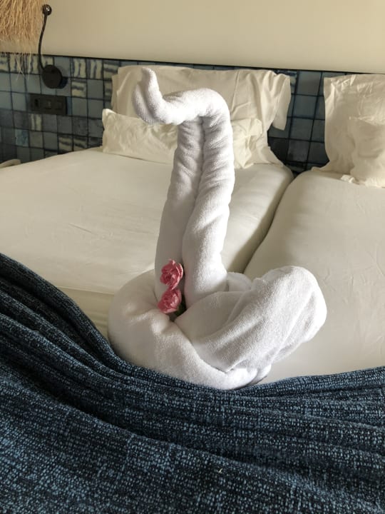 Zimmer Dreams Jardín Tropical