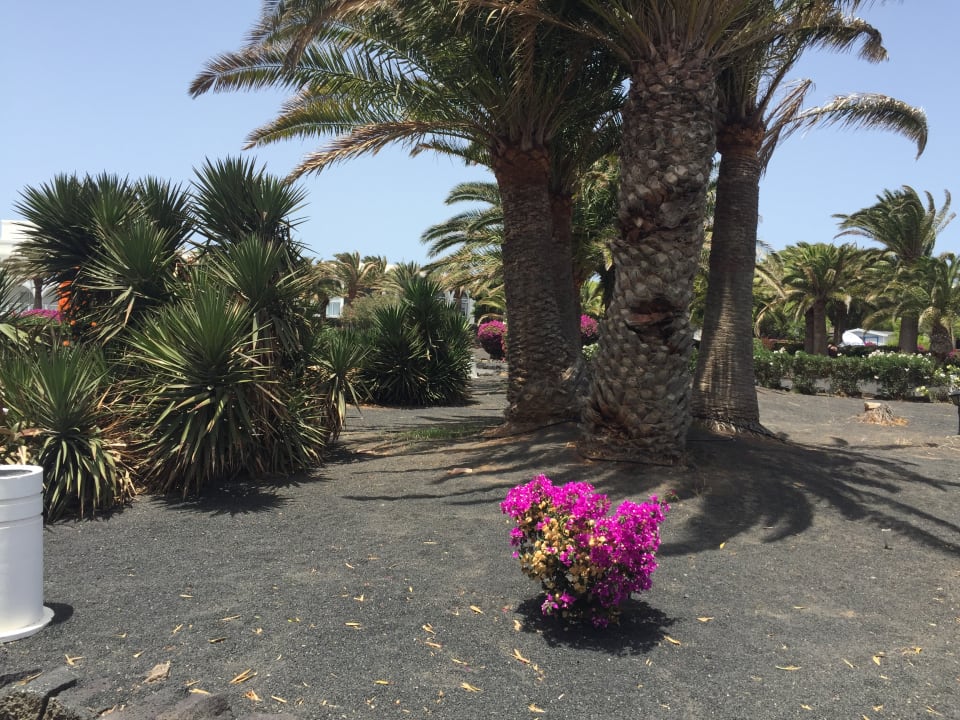 Gartenanlage Relaxia Olivina