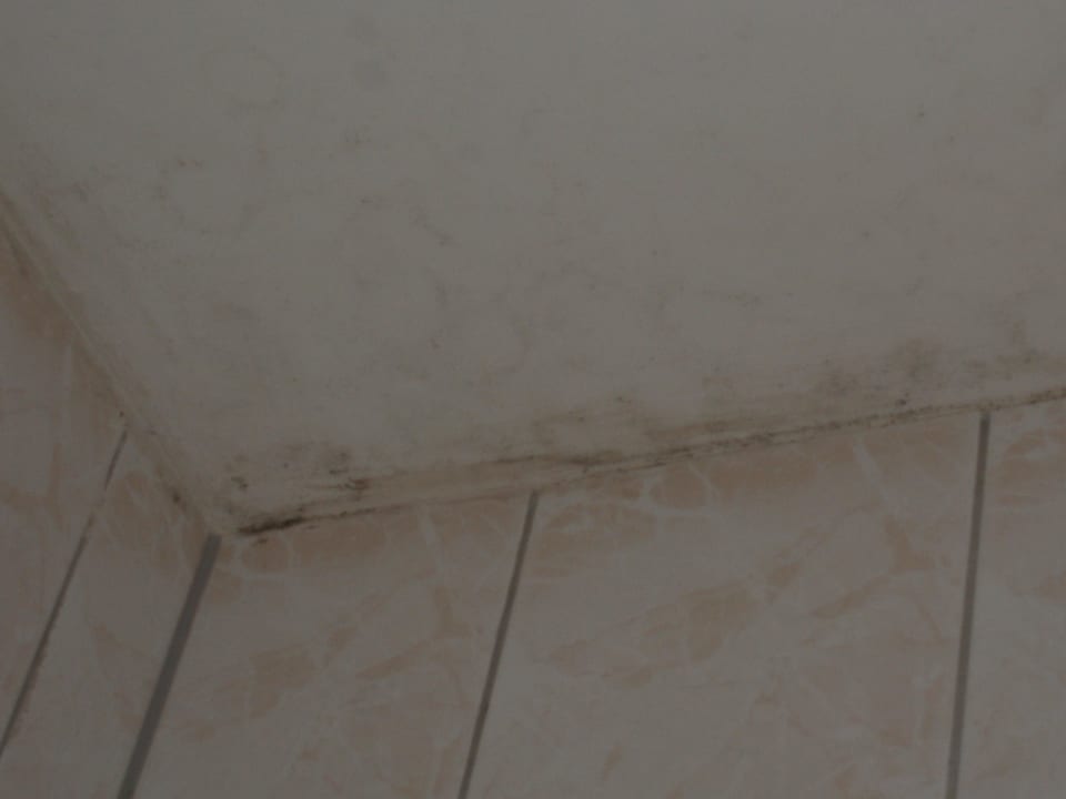 Schimmel im Badezimmer Hotel Seeschlösschen