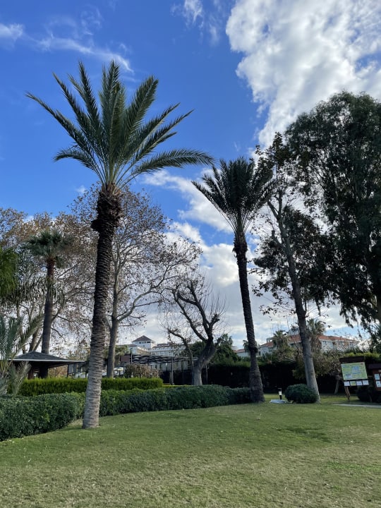 Gartenanlage Side Star Elegance