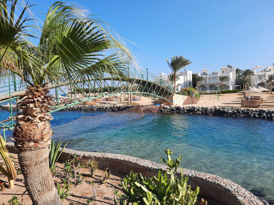 Ausblick Desert Rose