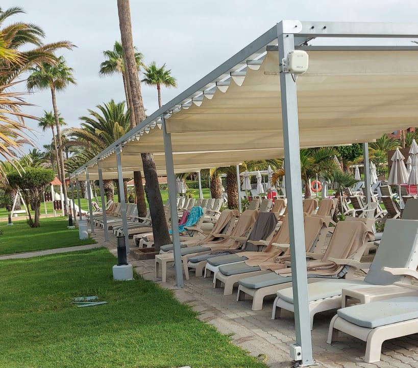 Gartenanlage Hotel Riu Palace Tenerife