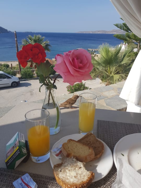 Ausblick Katikies Mykonos