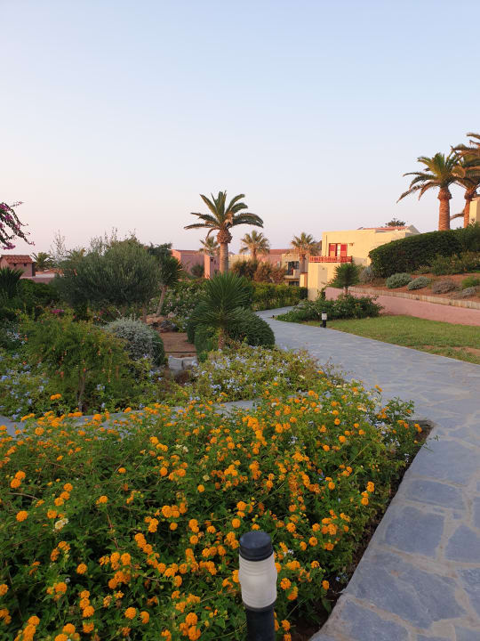 Gartenanlage allsun Hotel Zorbas Village