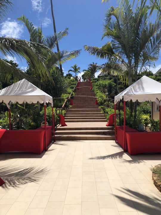 Gartenanlage TUI Blue Bahari Zanzibar
