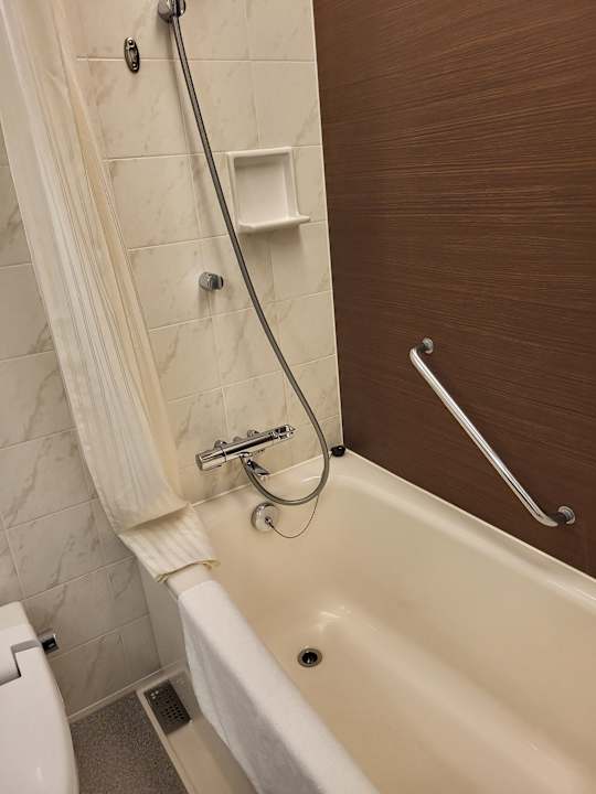 Zimmer Park Hotel Tokyo