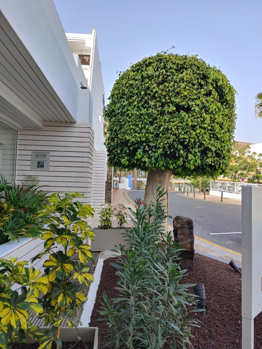 Außenansicht Sol Fuerteventura Jandia - All Suites