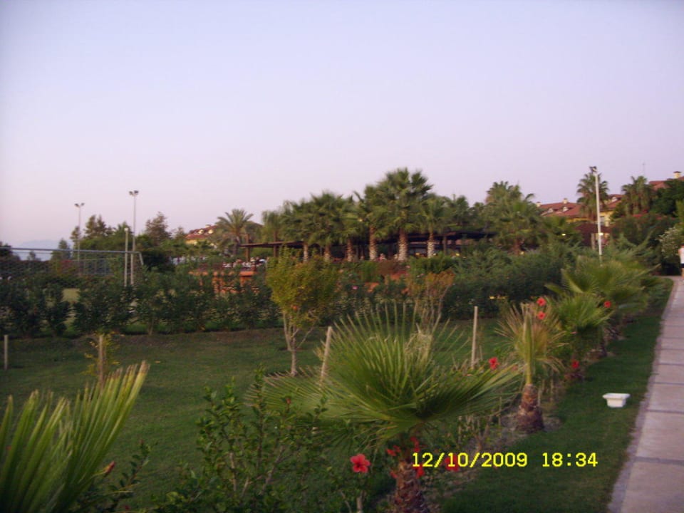 Viel grün Alba Resort Hotel