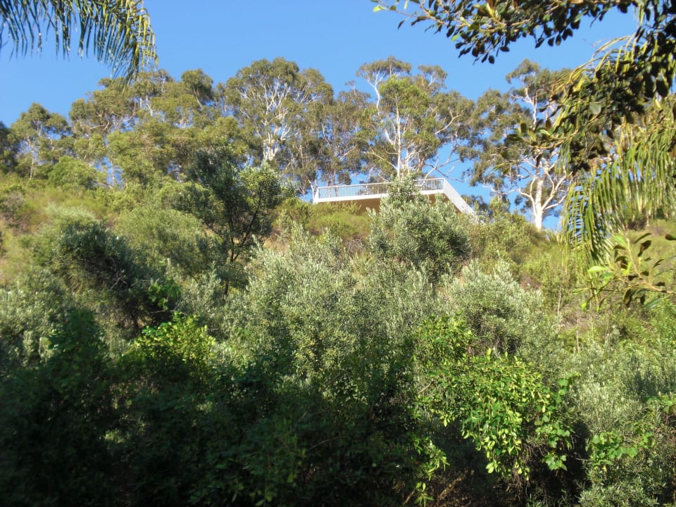 Blick auf Kings Park Sullivans Hotel