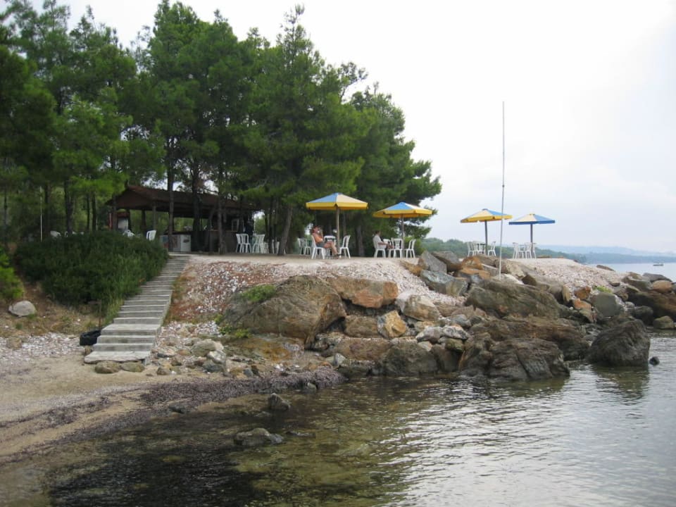 Beach Bar Blue Dolphin Resort Hotel