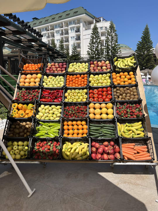 Gastro Hotel Delphin Diva