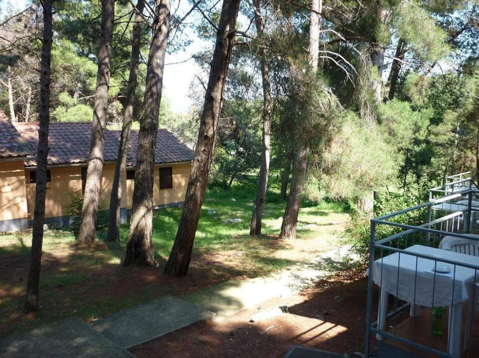 Blick von der Terrasse Apartments Kanegra Plava Laguna