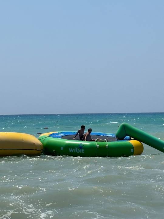 Strand TUI BLUE Palm Garden