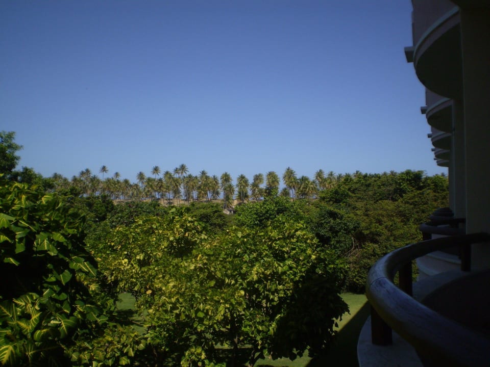Vista de los cocoteiros Grand Palladium Imbassai Resort & Spa