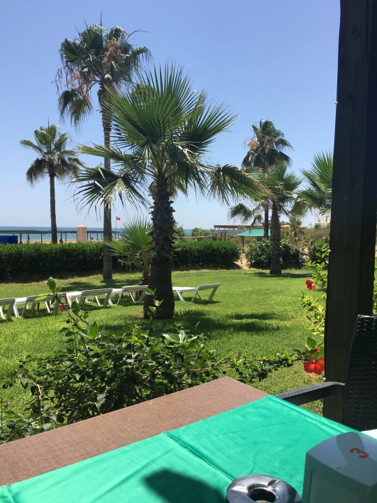 Gartenanlage Royal Atlantis Beach Hotel