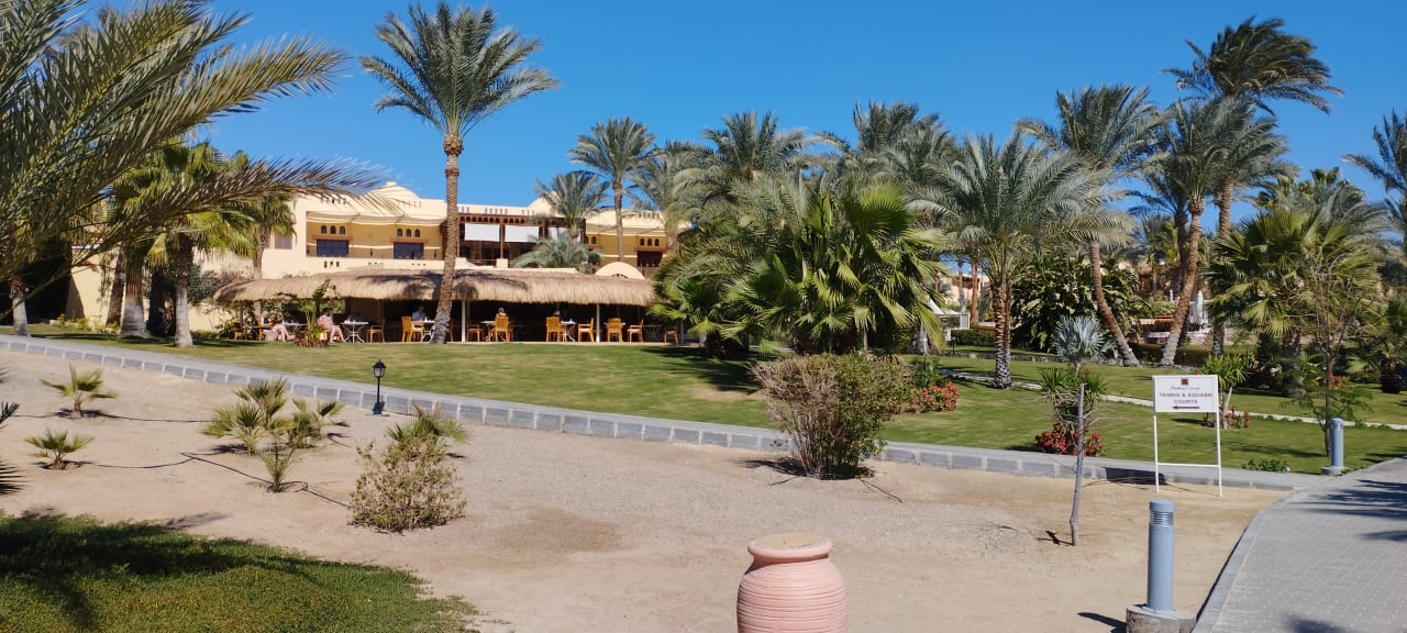 Gartenanlage Steigenberger Coraya Beach - Adults only