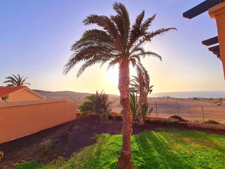 Gartenanlage Bakour Fuerteventura La Pared