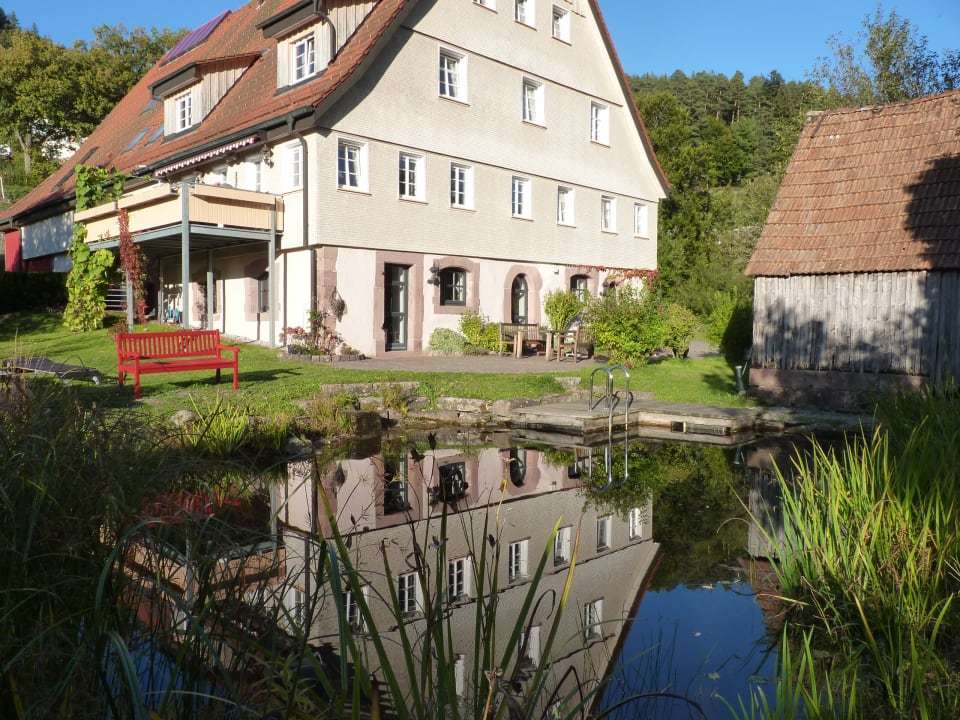 Gartenanlage Hof Reichenbachtal