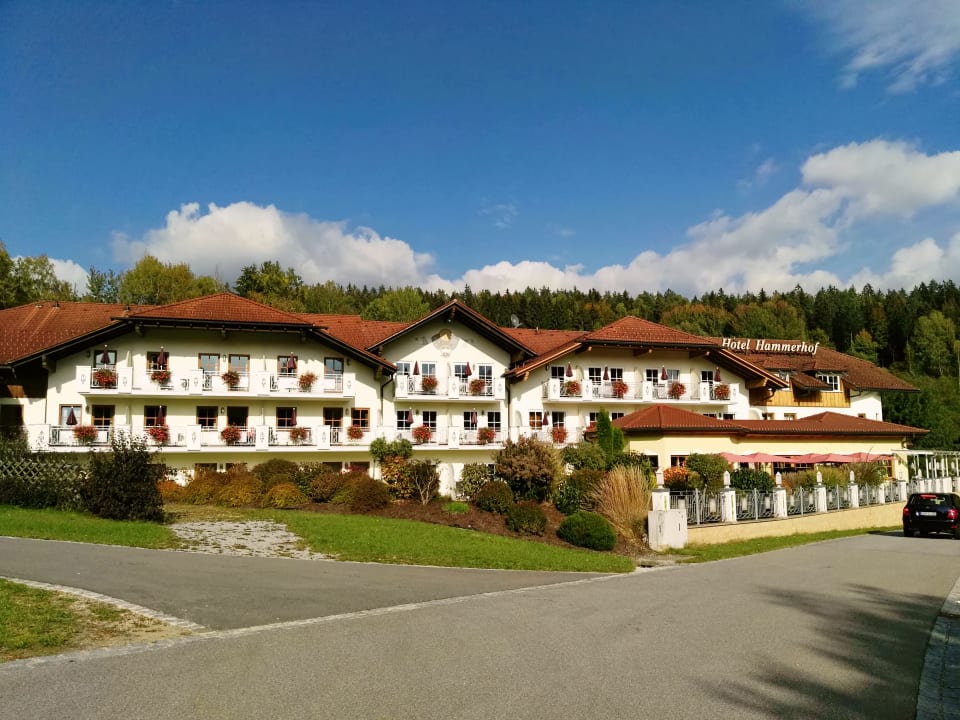 "Hotelansicht" Hotel Hammerhof (Bodenmais) • HolidayCheck (Bayern ...