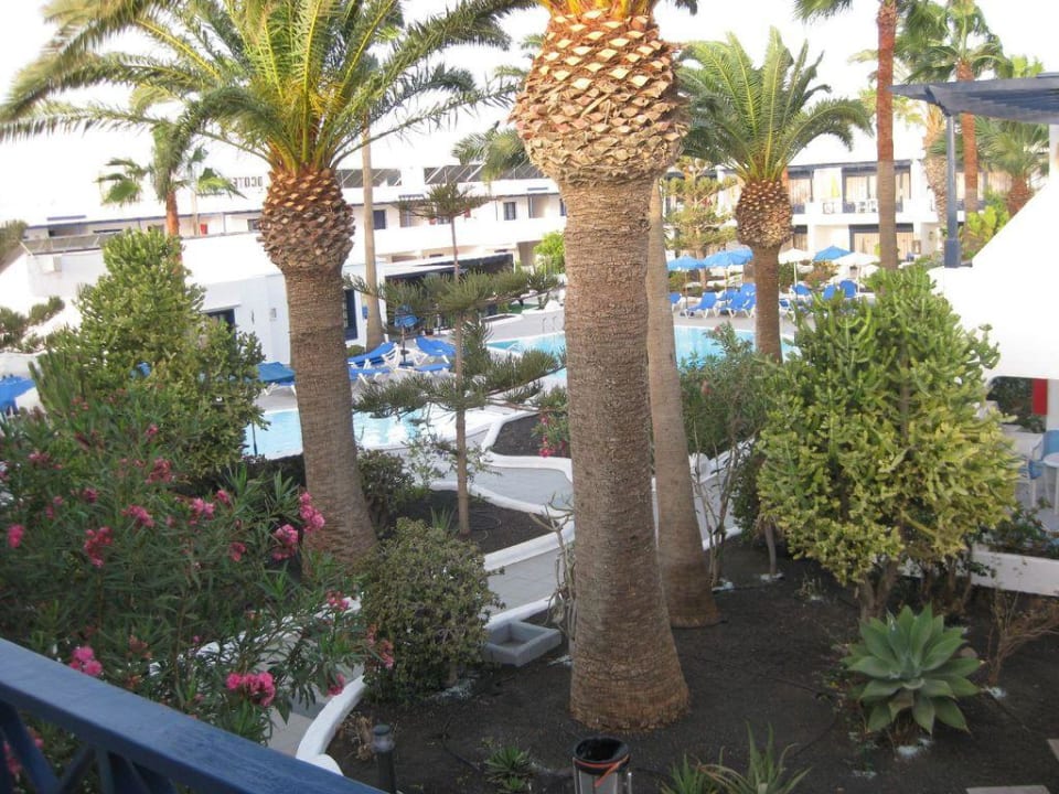 Blick aus Zimmer 31 Bungalows & Appartements Playamar