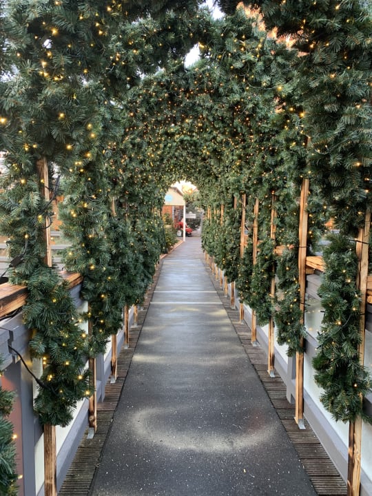 Gartenanlage Bergström Hotel Lüneburg