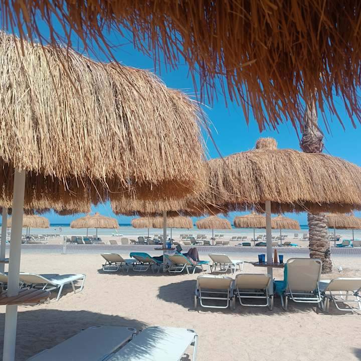 Strand JAZ Elite Asteria