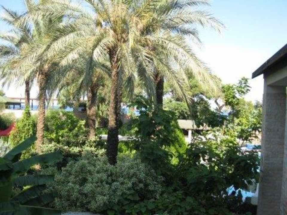 Главный корпус Armas Gül Beach