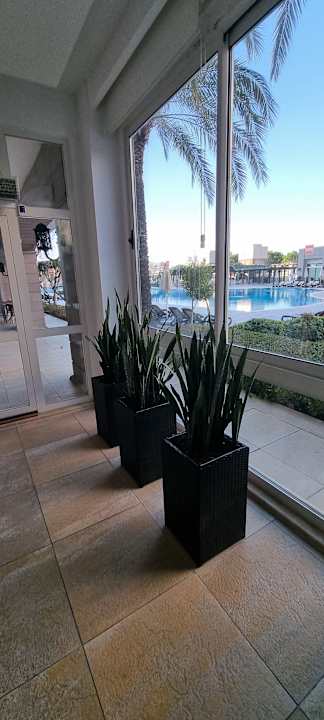 Sonstiges Trendy Aspendos Beach Hotel